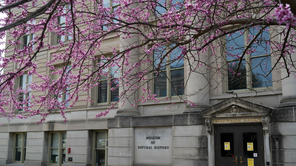 Museum of Natural History